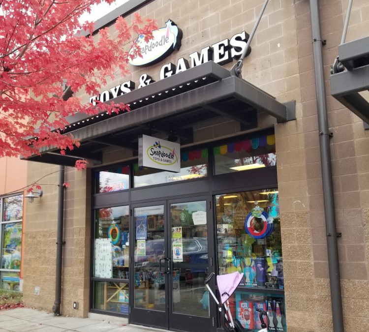 snapdoodle-toys-games-issaquah-photo